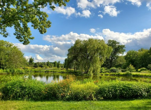 A serene landscape featuring a pond surrounded by lush greenery and trees under a blue sky with fluffy clouds.