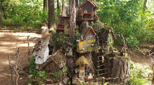 A whimsical tree stump village with tiny houses, ladders, and signs, surrounded by lush greenery in a forest setting.