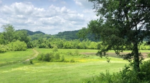 Lush green landscape with rolling hills, trees, and a cloudy sky in the background.