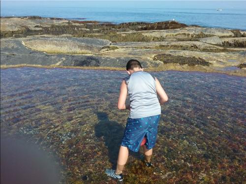 A boy in a gray tank top and blue shorts explores a tidal pool on rocky shore, with the ocean in the background.