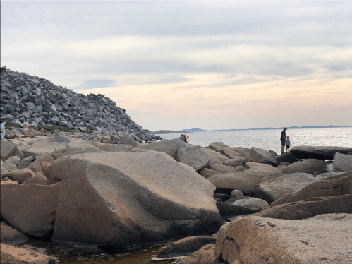 A rocky shoreline with people exploring, against a backdrop of calm water and a cloudy sky at sunset.