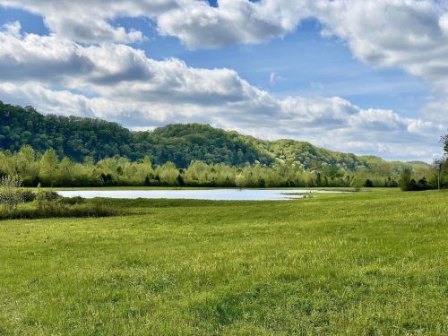A serene landscape featuring a calm lake surrounded by lush green hills and a cloudy blue sky.