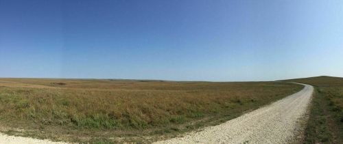 A wide, open landscape with a gravel road winding through tall grass under a clear blue sky.