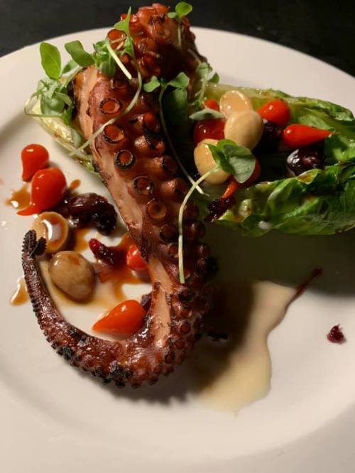 Grilled octopus tentacle on a plate with greens, cherry tomatoes, and a drizzle of sauce.