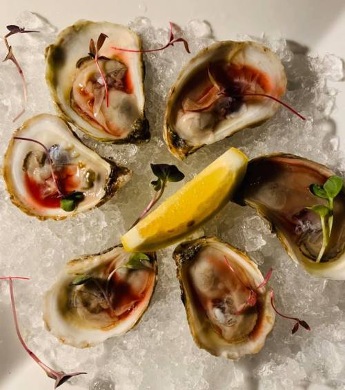 A plate of fresh oysters on ice, garnished with microgreens and a lemon wedge.
