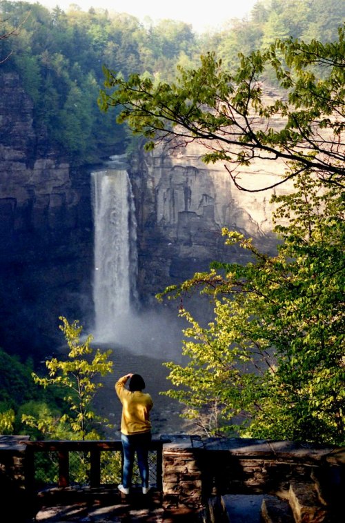 A person in a yellow sweater stands by a railing, gazing at a tall waterfall surrounded by lush greenery.
