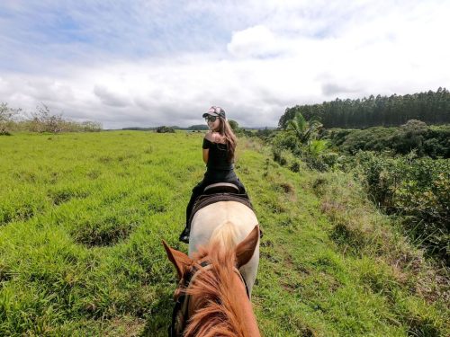 A person riding a horse through a lush green landscape under a cloudy sky.