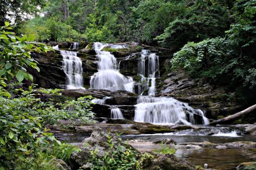 A serene waterfall cascades over rocks, surrounded by lush green foliage and trees in a tranquil natural setting.