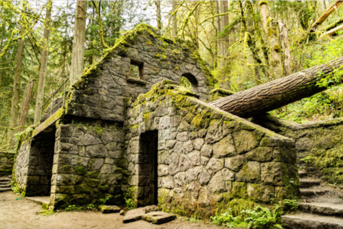 A moss-covered stone building in a forest, with a fallen tree resting against its side.