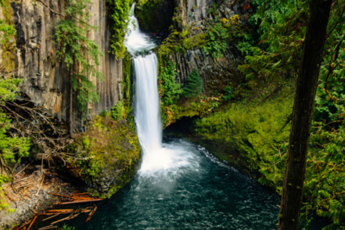 A serene waterfall cascades into a lush green pool, surrounded by moss-covered rocks and trees.