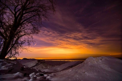 A serene winter landscape at night, featuring snow-covered ground, a silhouetted tree, and a starry sky.