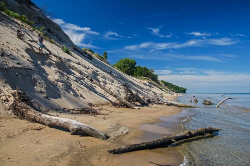 A sandy beach with a steep dune, driftwood scattered along the shore, and a clear blue sky above.