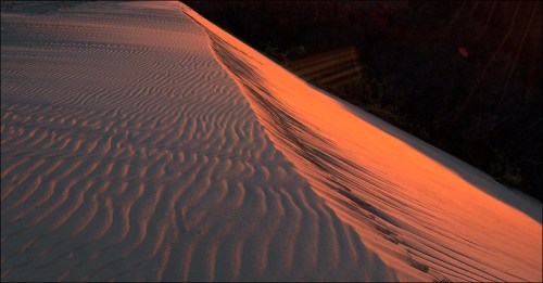 Sunset casts warm orange light on rippled sand dunes, creating a serene and textured landscape.