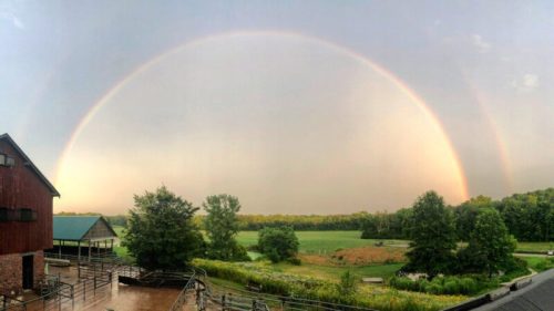A panoramic view of a farm with a vibrant rainbow arching over green fields and trees after a rainstorm.