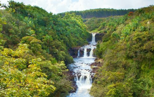 A lush green landscape featuring multiple waterfalls cascading into a river, surrounded by dense foliage and palm trees.