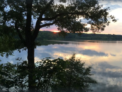 A serene lake at sunset, with reflections of trees and clouds in the water, framed by a large tree in the foreground.