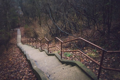 A winding concrete staircase with metal railings, surrounded by bare trees and fallen leaves in a wooded area.