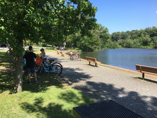 People enjoy a sunny day by a pond, with bicycles parked nearby and benches along the path.