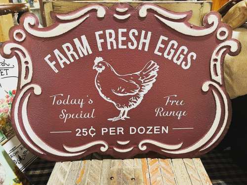 Sign advertising "Farm Fresh Eggs" with a chicken graphic, priced at 25 cents per dozen, labeled as today's special.