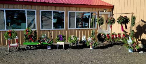A display of holiday wreaths and arrangements outside a building, featuring various decorations and colors.