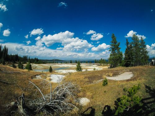 A scenic view of a grassy landscape with trees, a blue sky, and fluffy clouds, featuring a geothermal area in the distance.