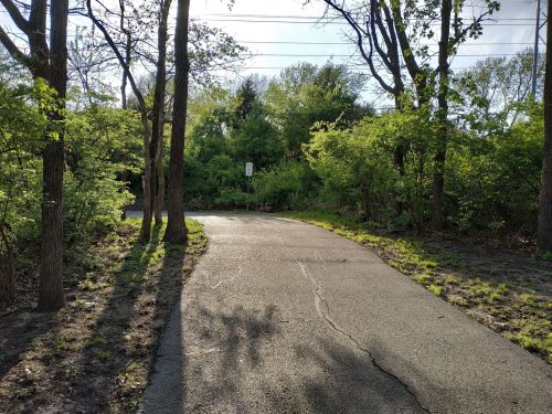 A winding path through a lush green area, lined with trees and dappled sunlight.
