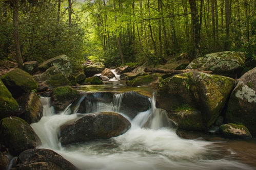 A serene forest stream flows over smooth rocks, surrounded by lush green trees and moss-covered boulders.