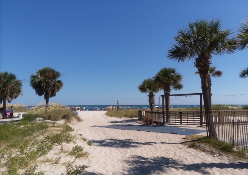 A sandy path leads to a beach, framed by palm trees under a clear blue sky.