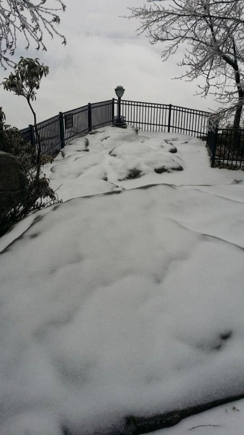 A snowy overlook with a railing, surrounded by fog and bare trees, creating a serene winter scene.