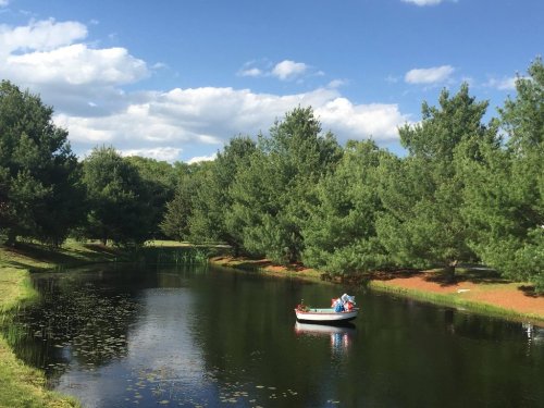A small boat floats on a calm pond surrounded by lush green trees and a blue sky with fluffy clouds.