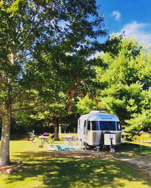 A silver Airstream trailer parked under trees, with outdoor seating and a picnic setup in a sunny, green campsite.