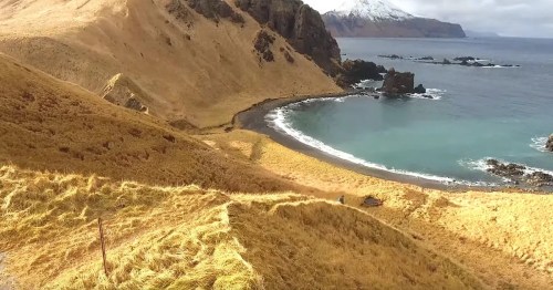 A scenic coastal landscape with golden grass, a calm blue bay, and snow-capped mountains in the background.