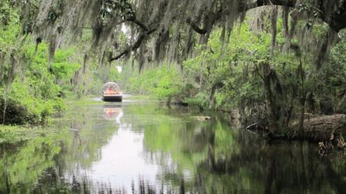 A boat glides through a serene, moss-draped waterway surrounded by lush greenery and reflections in the calm water.