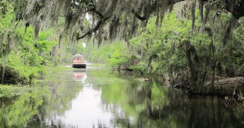 A boat glides through a serene, moss-draped waterway surrounded by lush greenery and reflections on the water.