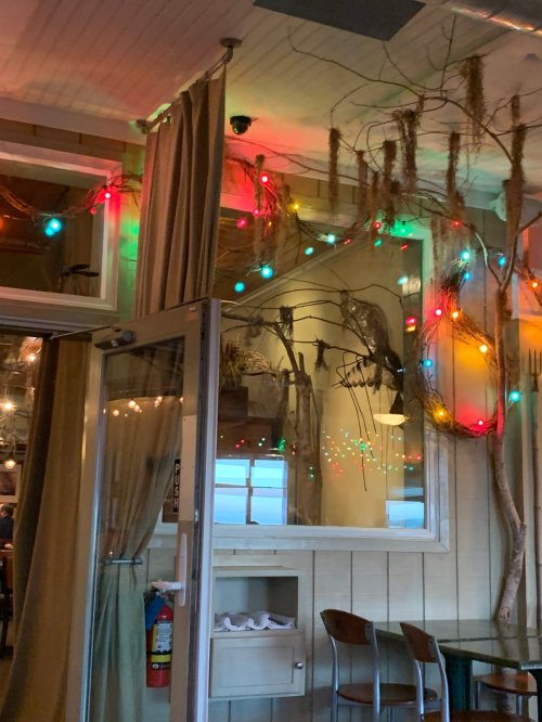A cozy restaurant interior with colorful lights, natural decor, and a large mirror reflecting the ambiance.