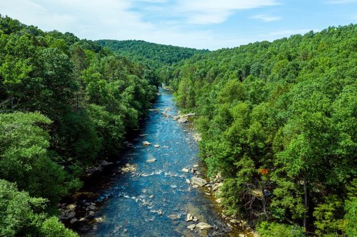 A serene river flows through a lush green forest, surrounded by hills under a clear blue sky.