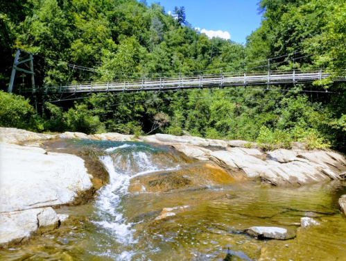 A serene landscape featuring a small waterfall and a wooden bridge surrounded by lush green trees.