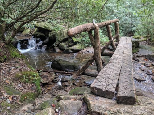 A rustic wooden bridge spans a small stream in a lush, green forest, surrounded by rocks and foliage.
