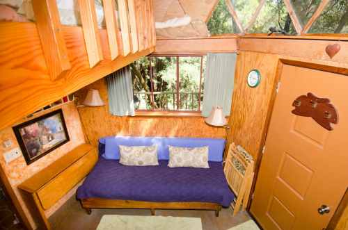 Cozy wooden interior of a small cabin with a sofa, bunk bed, and large windows overlooking greenery.