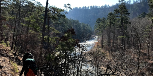 A hiker walks along a trail beside a river, surrounded by tall trees and a mountainous landscape.