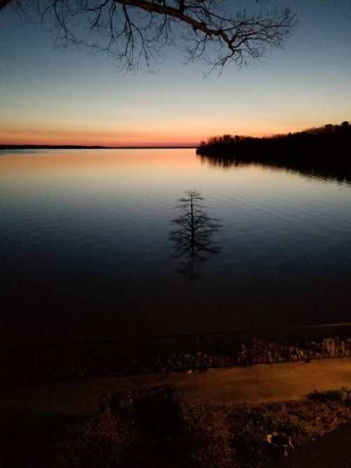 A tranquil lake at sunset, reflecting vibrant colors with a solitary tree silhouetted against the horizon.