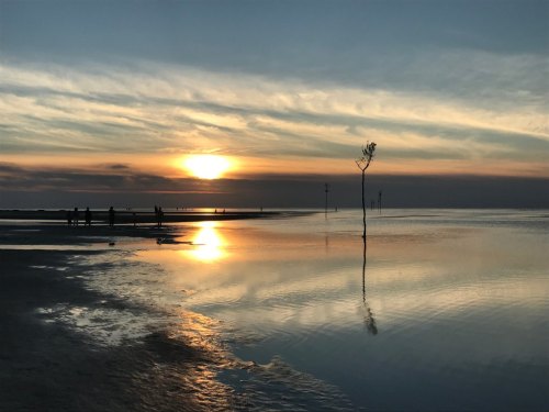 A serene sunset over a calm sea, with silhouettes of people and a lone tree reflected in the water.