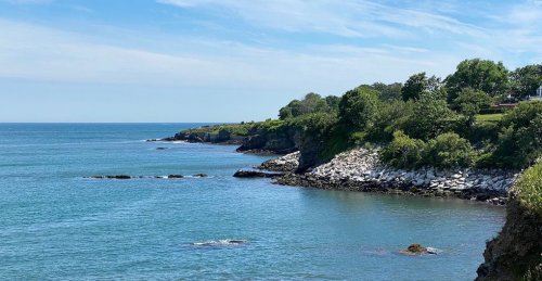 Coastal view with rocky shoreline, lush greenery, and calm blue waters under a clear sky.