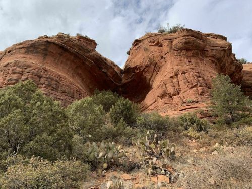 Red rock formations rise above green shrubs and cacti under a cloudy sky.