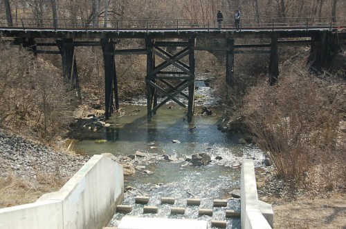 A wooden bridge spans a shallow stream, surrounded by bare trees and rocky banks on a sunny day.
