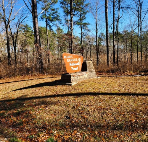 Sign for William B. Bankhead National Forest surrounded by trees and grass on a clear day.