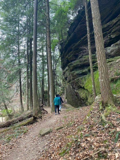 Two people walk along a forested path beside a rocky cliff, surrounded by tall trees and greenery.