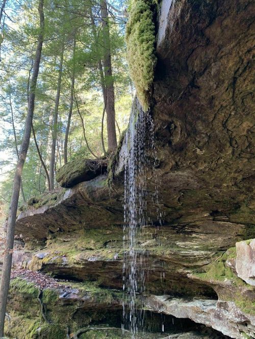A serene waterfall cascading from a moss-covered rock ledge, surrounded by lush green trees in a forest setting.