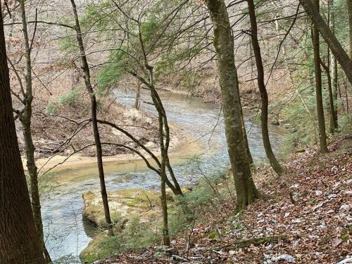 A serene river winding through a forest, surrounded by trees and fallen leaves, with a rocky bank visible.