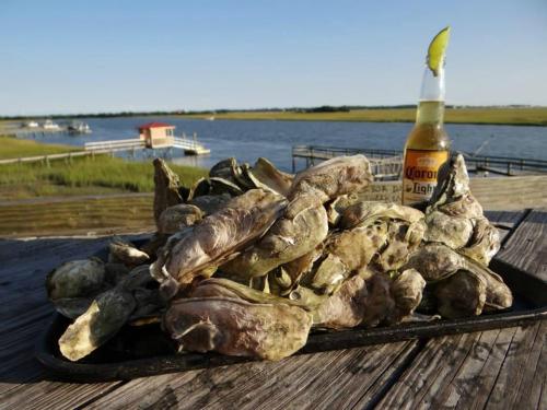A pile of oysters on a tray with a bottle of Corona and a lime slice, set against a scenic waterfront view.